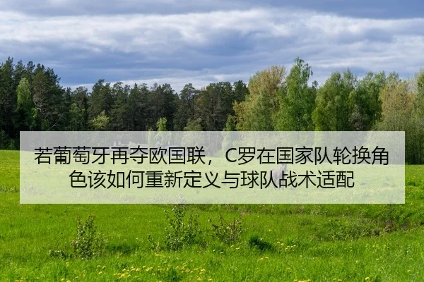 ruo-pu-tao-ya-zai-duo-ou-guo-lian-luo-zai-guo-jia-dui-lun-huan-jue-se-gai-ru-he-chong-xin-ding-yi-yu-qiu-dui-zhan-shu-2-903.jpg